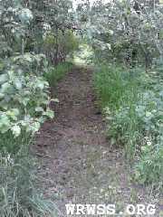Nature Trails and Gardens at WRWSS.ORG
